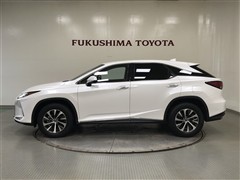 RX300