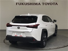 UX300h VER-L AWD