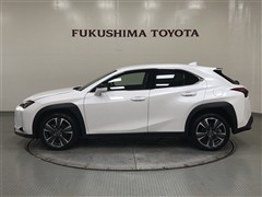 UX300h VER-L AWD