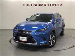 NX300h VER-L AWD