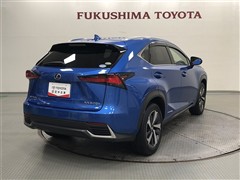 NX300h VER-L AWD