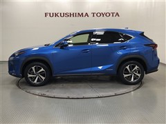 NX300h VER-L AWD