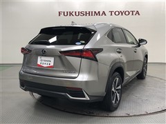 NX300h VER-L AWD