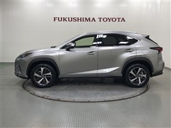 NX300h VER-L AWD