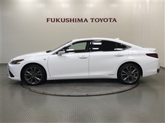ES300h F SPORT