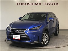 NX300h I-PKG AWD