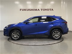NX300h I-PKG AWD