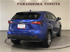 NX300h I-PKG AWD