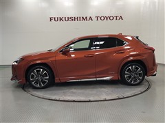 UX250h VER-L AWD