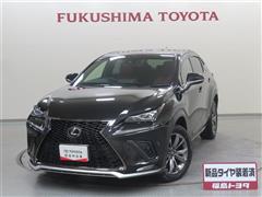 NX300 F SPORT AWD