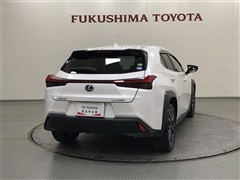UX250h VER-L