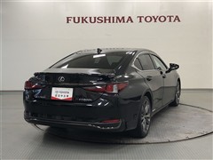 ES300h F SPORT
