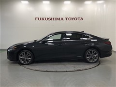 ES300h F SPORT