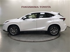 NX200t VER-L AWD