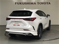 NX350h VER-L AWD