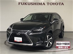 NX300h VER-L AWD