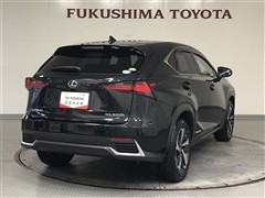 NX300h VER-L AWD