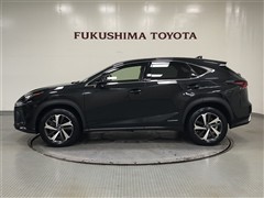 NX300h VER-L AWD