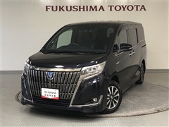 エスクァイアHEV GiPerm B-T