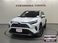 RAV4 HEV G E-Four