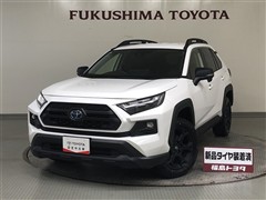 トヨタ RAV4HEV Advオフロード2