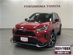 トヨタ RAV4 PHV BLACK TONE