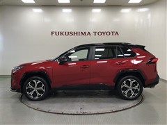 RAV4 PHV BLACK TONE