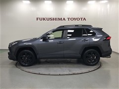 RAV4 Adv オフロードPKG2