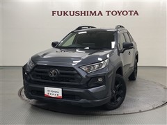 トヨタ RAV4 Adv オフロードPKG2