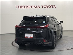 UX250h F SPORT AWD