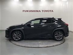 UX250h F SPORT AWD