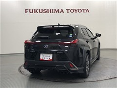 UX250h F SPORT AWD