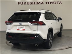 RAV4 PHV G Z