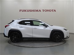 UX200 Urban Elegance