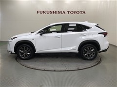NX300h F SPORT AWD