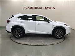 NX300h F SPORT AWD