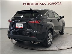 NX200t VER-L AWD