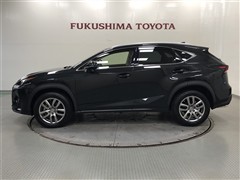 NX200t VER-L AWD
