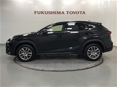 NX200t VER-L AWD
