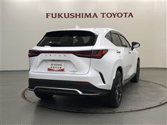 NX350h F SPORT AWD
