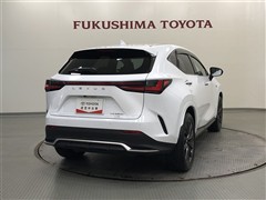 NX350h F SPORT AWD