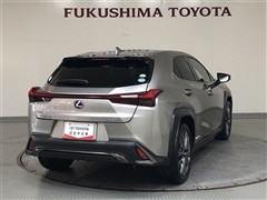 UX250h F SPORT AWD