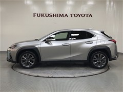 UX250h F SPORT AWD