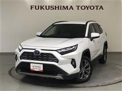 RAV4 HEV G E-Four