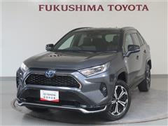 RAV4 PHV BLACK TONE