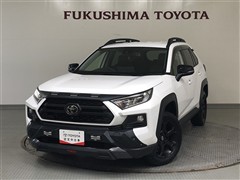 RAV4 Adv オフロード 4WD
