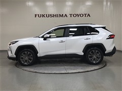 RAV4 HEV G E-Four