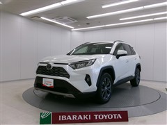 ＲＡＶ４