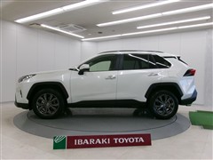 RAV4 G