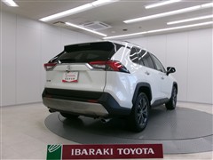 RAV4 G